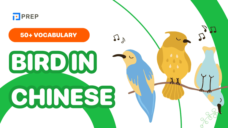 50+ Bird in Chinese Words: Species Names and Everyday Phrases