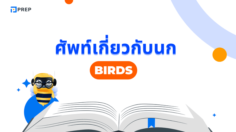 คำศัพท์ภาษาอังกฤษเกี่ยวกับนก พร้อมคำแปลและตัวอย่าง