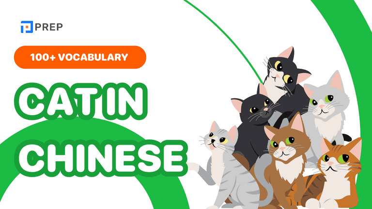 Cat in Chinese: Vocabulary List of Cat-Related Words and Phrases