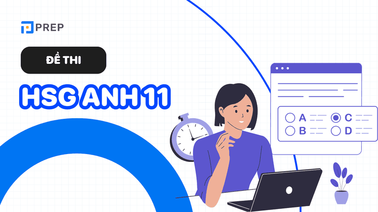 Đề thi HSG tiếng Anh 11