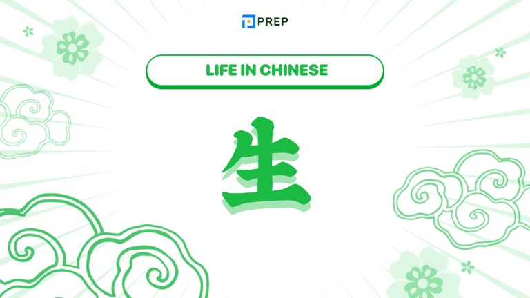 What Is Life in Chinese? A Complete Guide to 生 (shēng) 