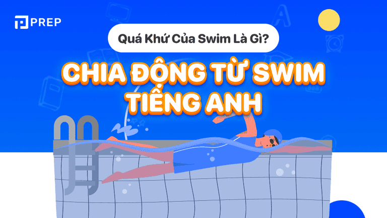 quá khứ của swim