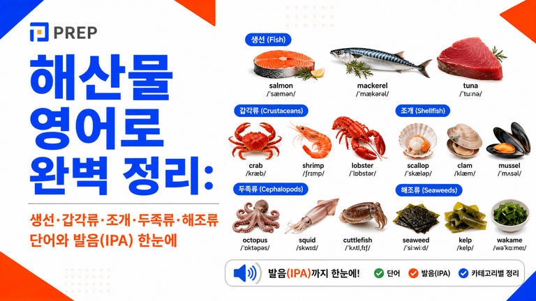 해산물 영어로 완벽 정리: 생선·갑각류·조개·두족류·해조류 단어와 발음 한눈에