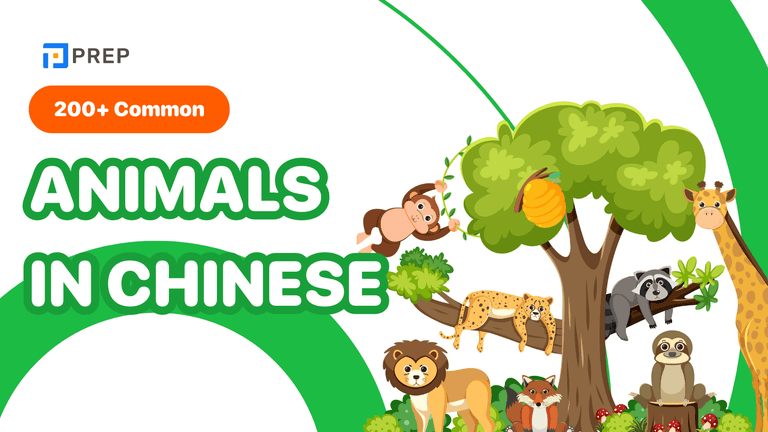 200+ Animals in Chinese: Common Names and Vocabulary Explained