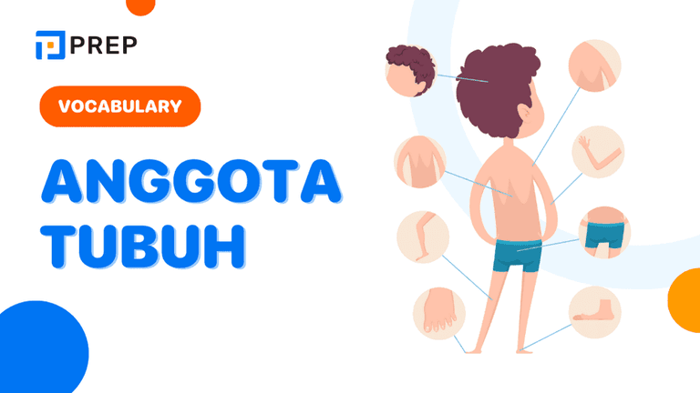 Bahasa Inggris Anggota Tubuh