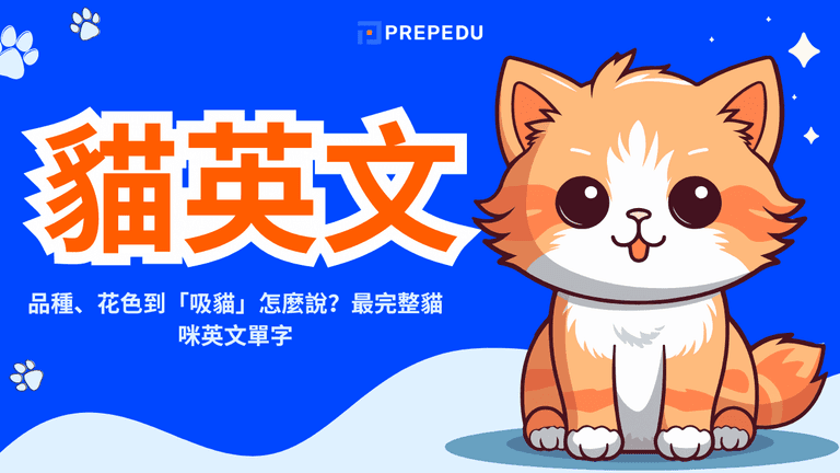 貓英文