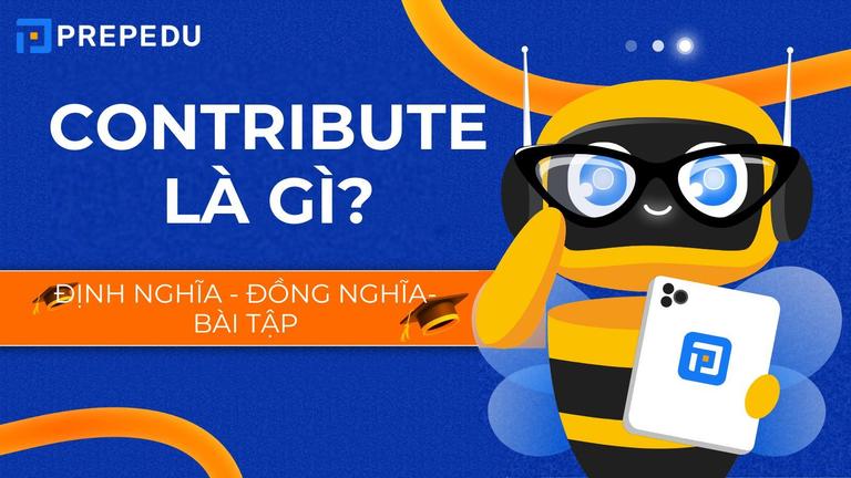 Contribute là gì