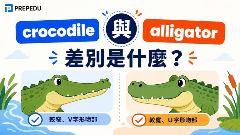 alligator 和 crocodile 差在哪?