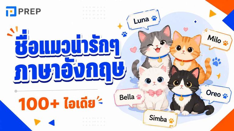ชื่อแมวน่ารักๆ ภาษาอังกฤษ 100+ ไอเดีย