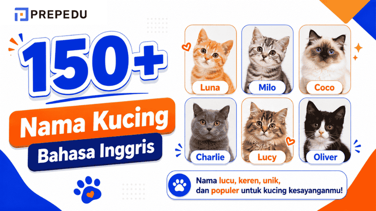 Kumpulan Nama Kucing Bahasa Inggris Beserta Artinya