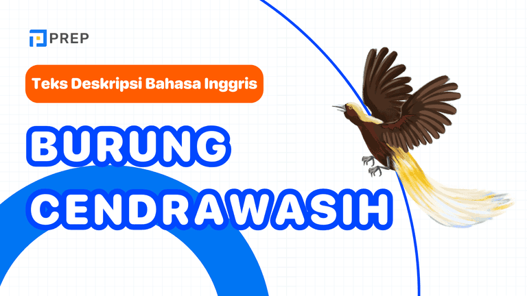 Deskripsi burung cendrawasih akan terasa lebih hidup