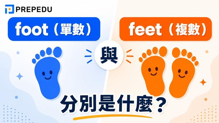 foot feet 差別一次搞懂:單複數+英尺用法