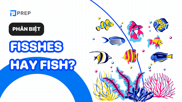 Fishes hay Fish: ý nghĩa, cách dùng, phân biệt và bài tập có đáp án