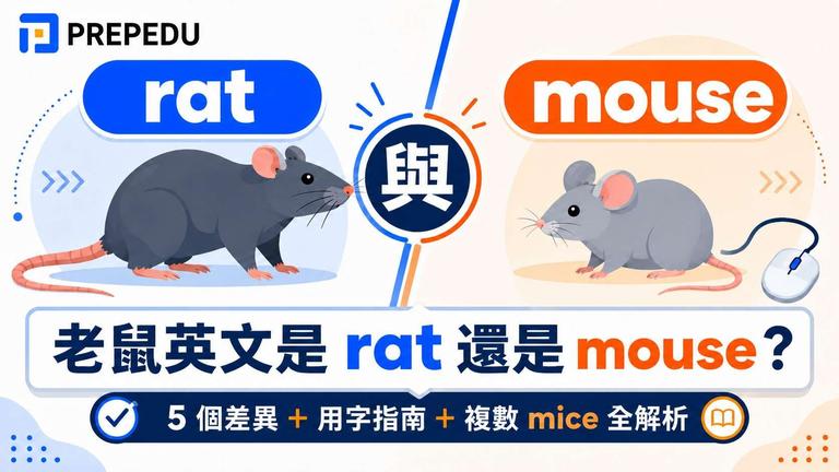 老鼠英文是 rat 還是 mouse?rat/mouse 用法