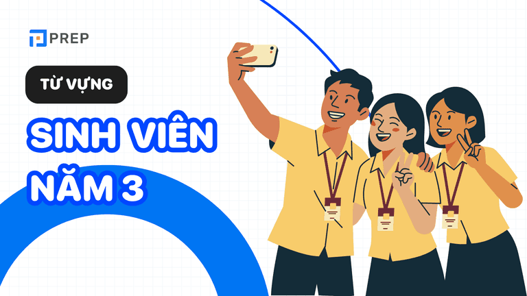 Sinh viên năm 3 tiếng Anh là gì?