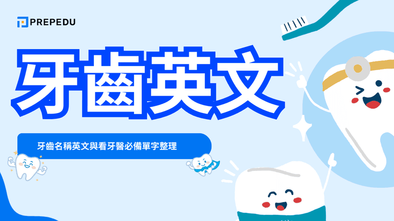 牙齒英文