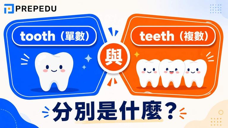 tooth 和 teeth 其實是同一個字的單複數形態