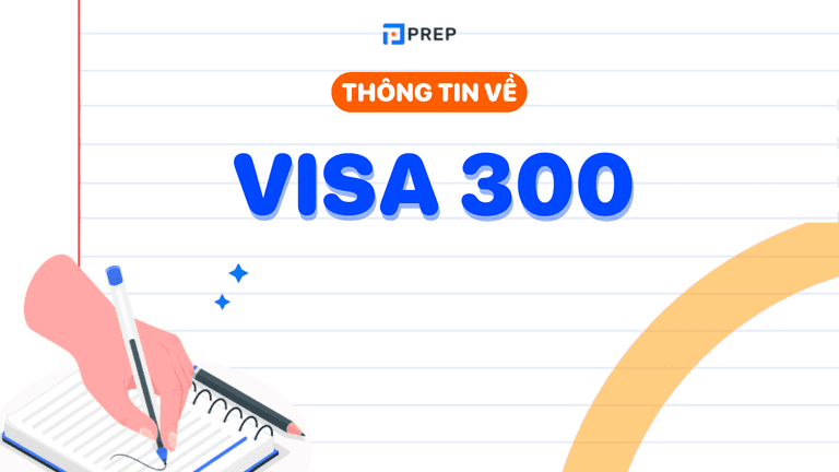 Visa 300