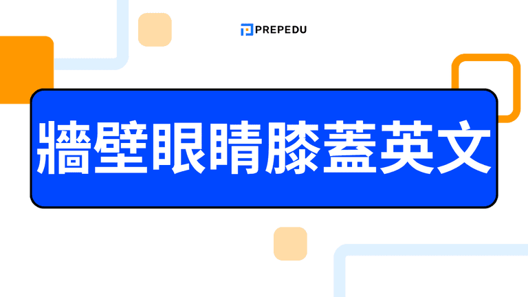 牆壁眼睛膝蓋英文